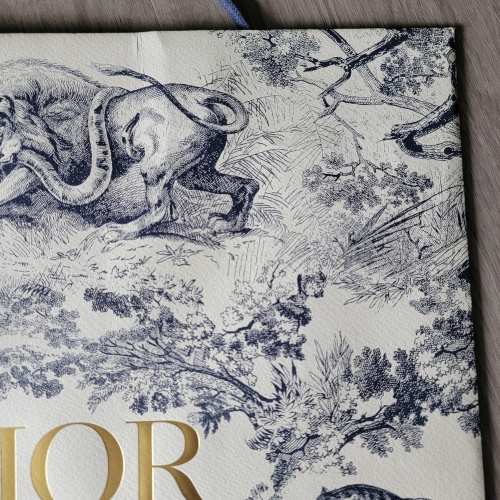 SALE🎉 Framed - Limited Edition Authentic Dior Shopping Bag - Framed - Picture 8 of 10